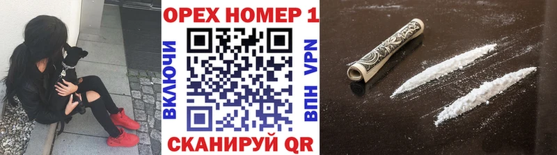 наркота  kraken как войти  Cocaine Fish Scale  Зима 