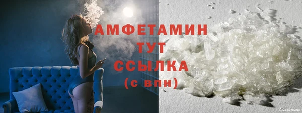 прущие грибы Богданович