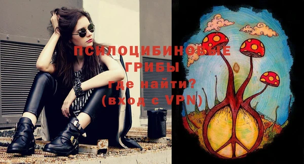 круглые Бронницы