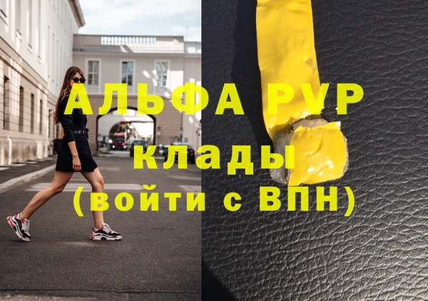 spice Бородино