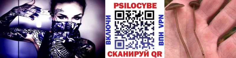 Псилоцибиновые грибы MAGIC MUSHROOMS  как найти закладки  Зима 