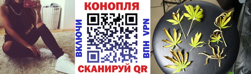 как найти наркотики  Зима  Бошки Шишки семена 